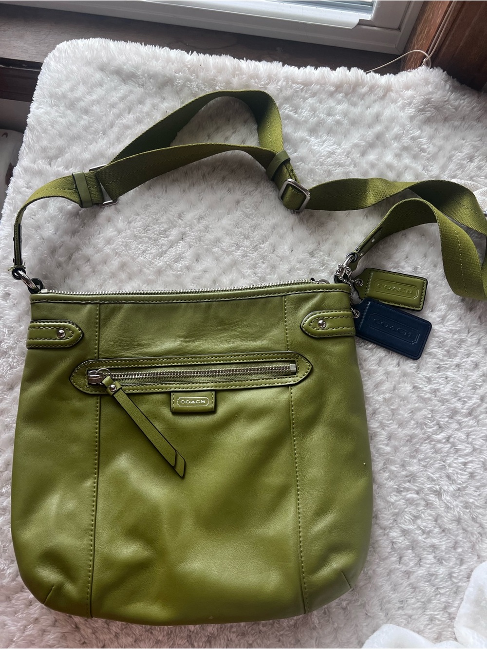 COACH Crossbody in Pistachio Green